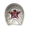 Red Army badge "For Excellent Slashing" cavalry award